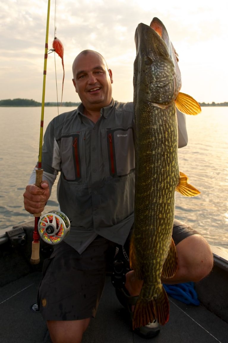 Fliegenfischen auf Hecht | FlyfishingEurope