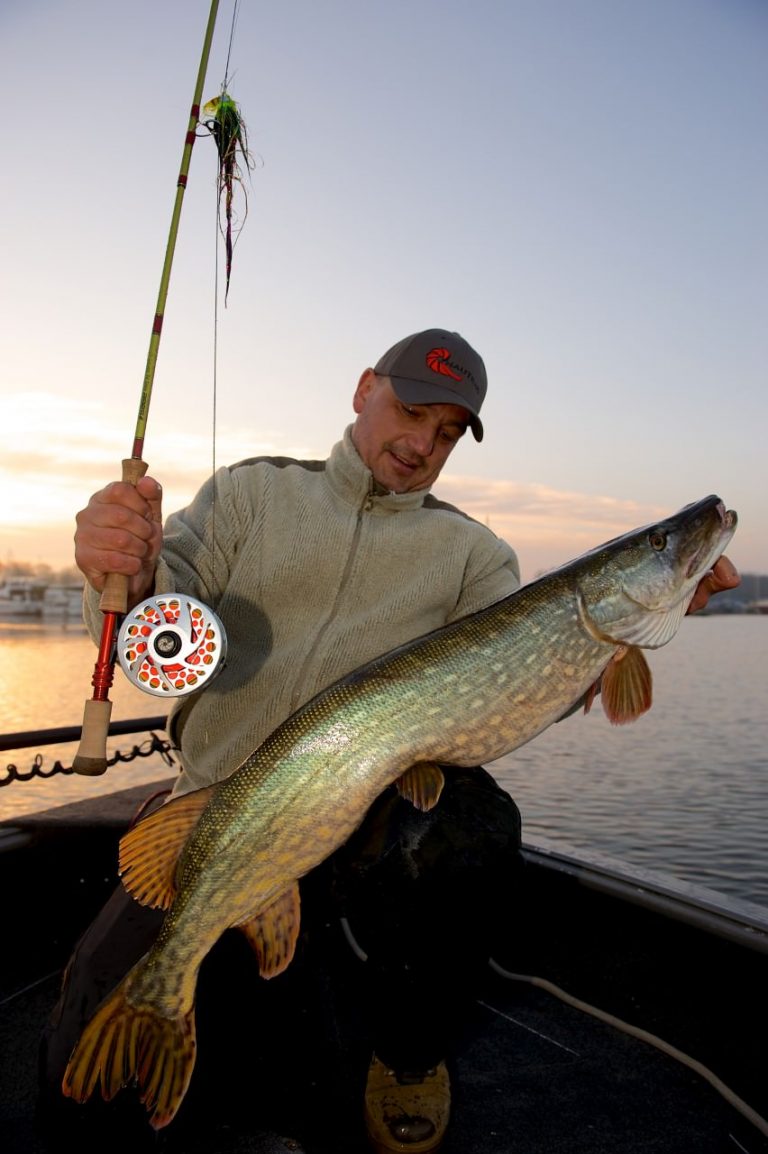 Fliegenfischen auf Hecht | FlyfishingEurope